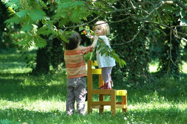 Allons cueillir des cerises !