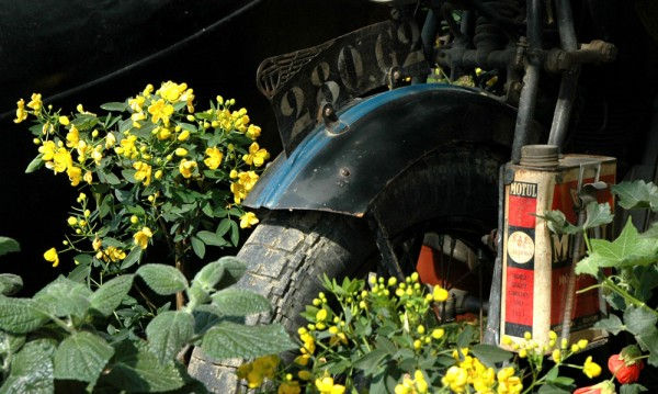 Des voitures et des fleurs à la 16 ème expomobile de la jardinerie Laplace