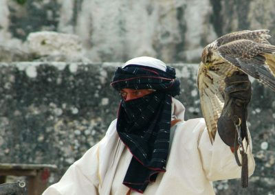 Les aigles des remparts à Provins