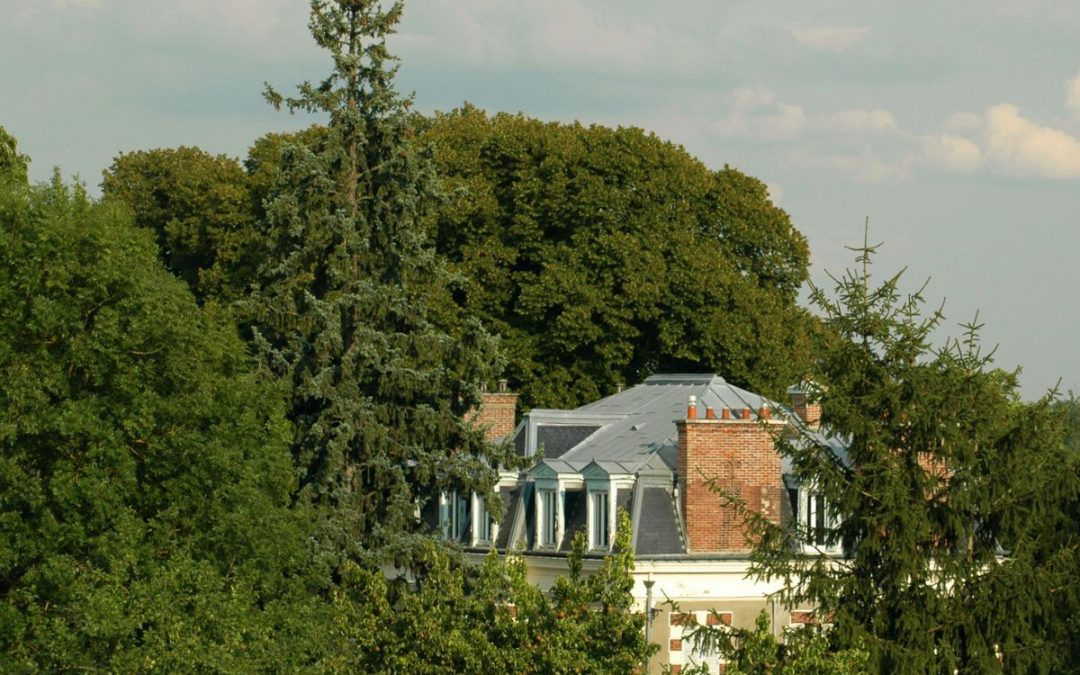 Visite à Provins, ville médiévale