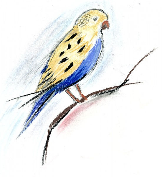 Oiseau jaune et bleu au pastel