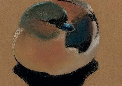 Oiseau au pastel sur papier brun