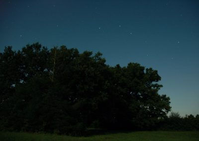 Grande Ourse sur fond de nuit