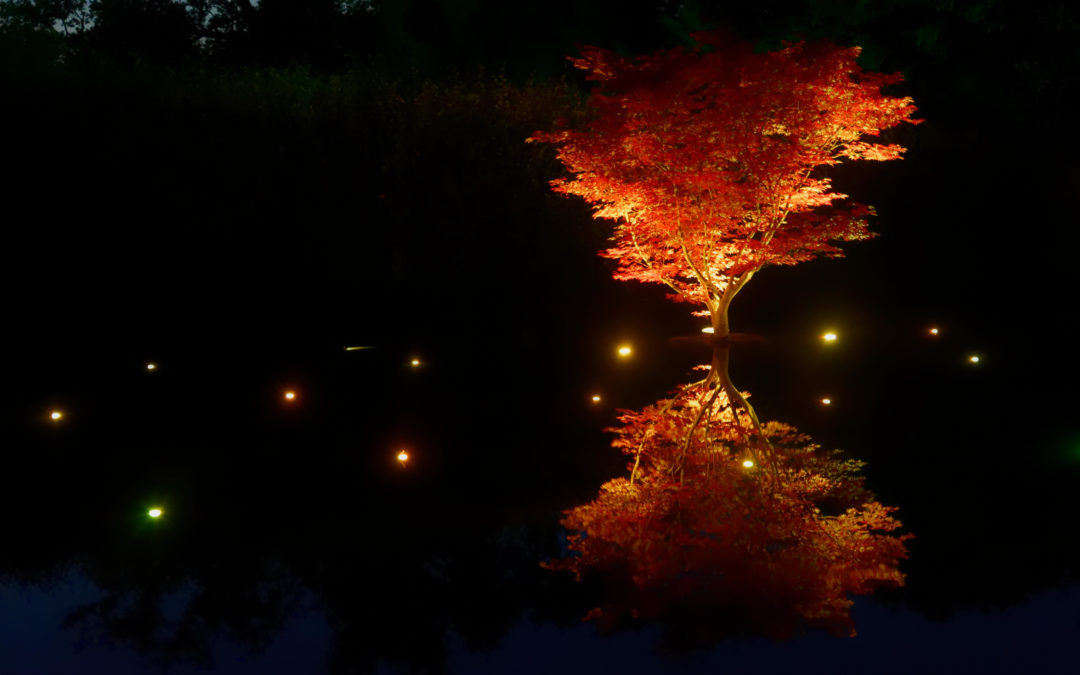 Le festival des jardins à Chaumont sur Loire en nocturne