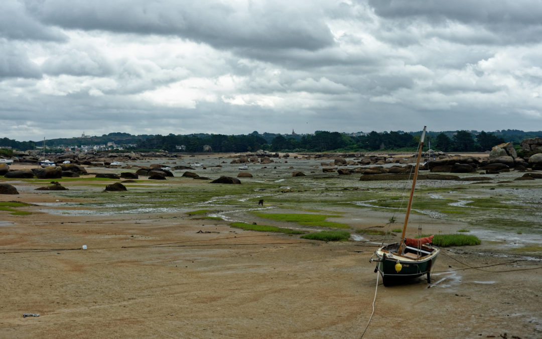 Ile Renote à Trégastel – Bretagne